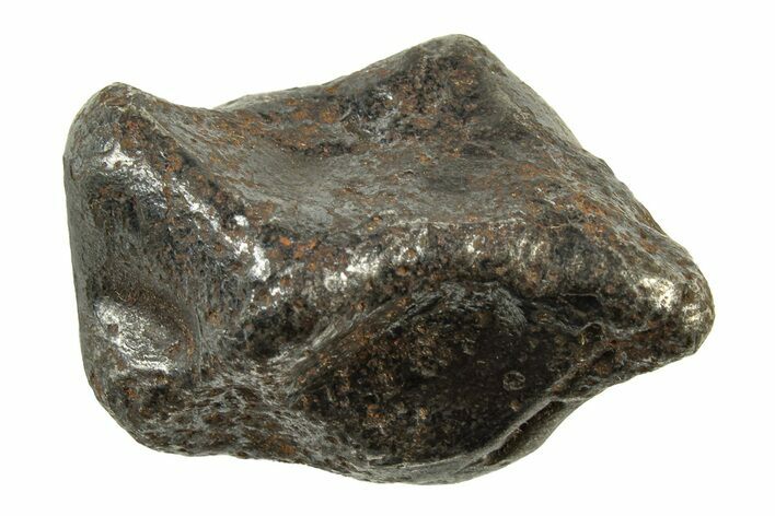 Fusion Crusted Sikhote-Alin Iron Meteorite ( grams) - Russia #243176